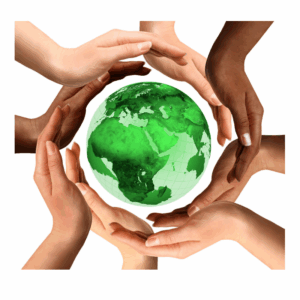 Resolving Acne Vulgaris Through Gut and Hormone Support: A Case Study